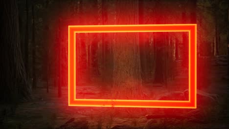 Neon-glowing-rectangle-frame-in-the-night-forest